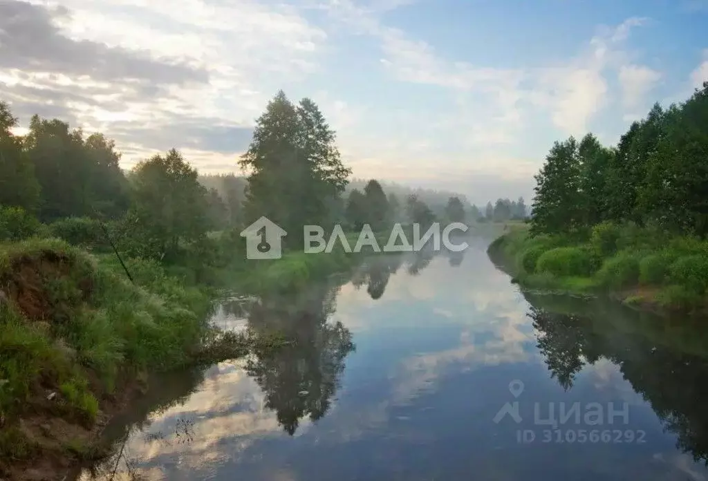 Участок в Владимирская область, Судогодский район, Лавровское ... - Фото 0