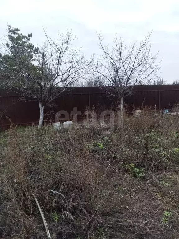Участок в Энгельсский район, Терновское муниципальное образование, ... - Фото 2