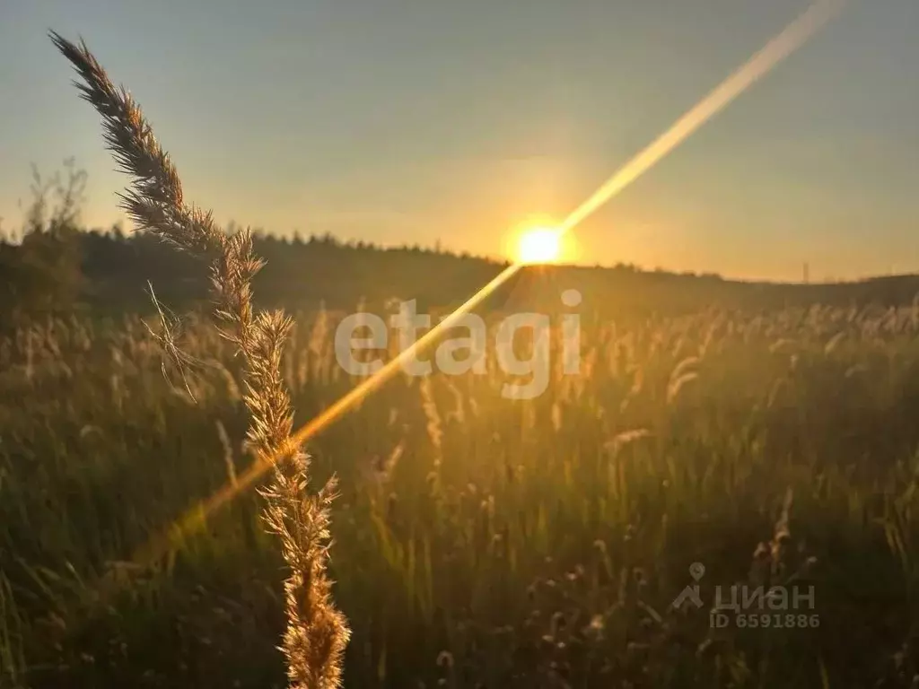 Участок в Тульская область, Тула муниципальное образование, д. ... - Фото 0