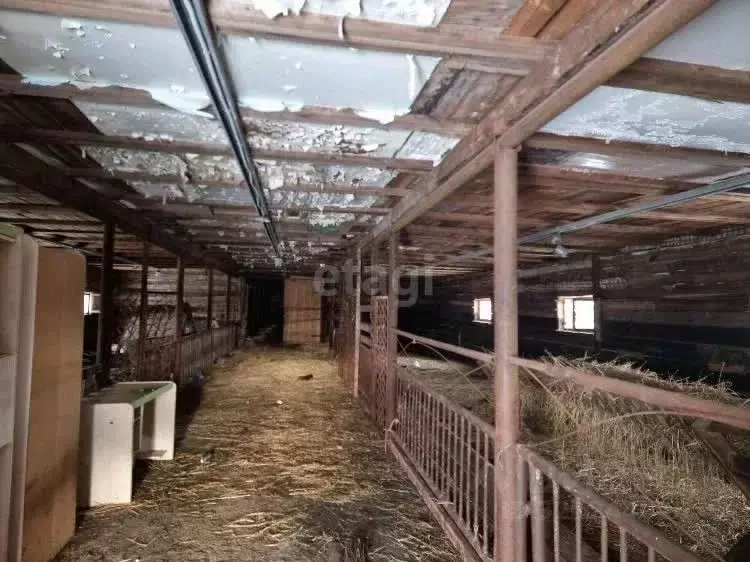 Склад в Ямало-Ненецкий АО, Новый Уренгой Территория Восточная ... - Фото 1