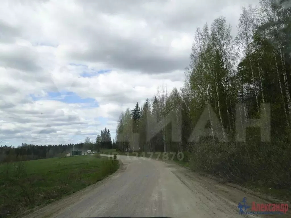 новый фап карелия. поселок таунан карелия. тоунан поселок лахденпохский район. погода тоунан карелия. карелия, лахденпохский р-н, п тоунан.