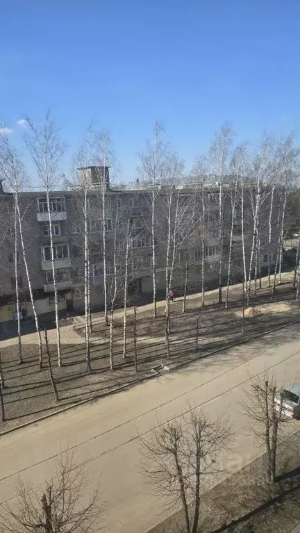 2-к кв. Новгородская область, Старая Русса Профсоюзная ул., 10 (59.0 ... - Фото 1