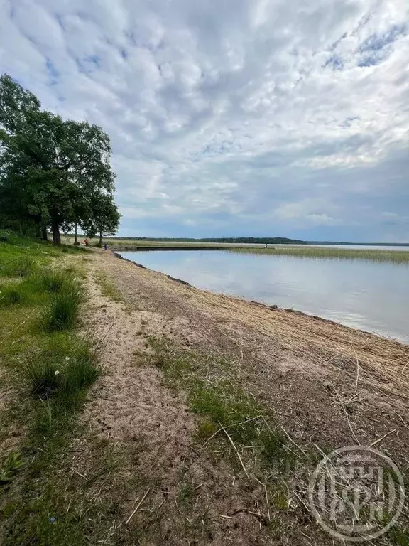 Участок в Ленинградская область, Приозерский район, Плодовское с/пос, ... - Фото 1