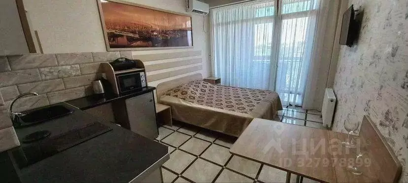 Студия Севастополь проезд Рубежный, 28 (24.5 м) - Фото 1