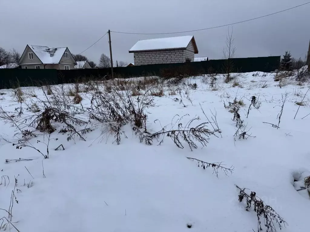 Участок в Московская область, Пушкинский городской округ, д. Никулино  ... - Фото 0