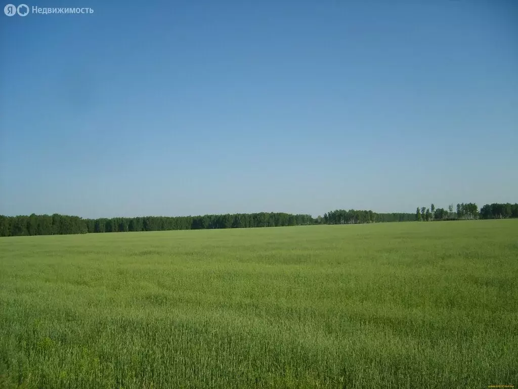 Участок в Урицкий район, Богдановское сельское поселение (45 м) - Фото 0