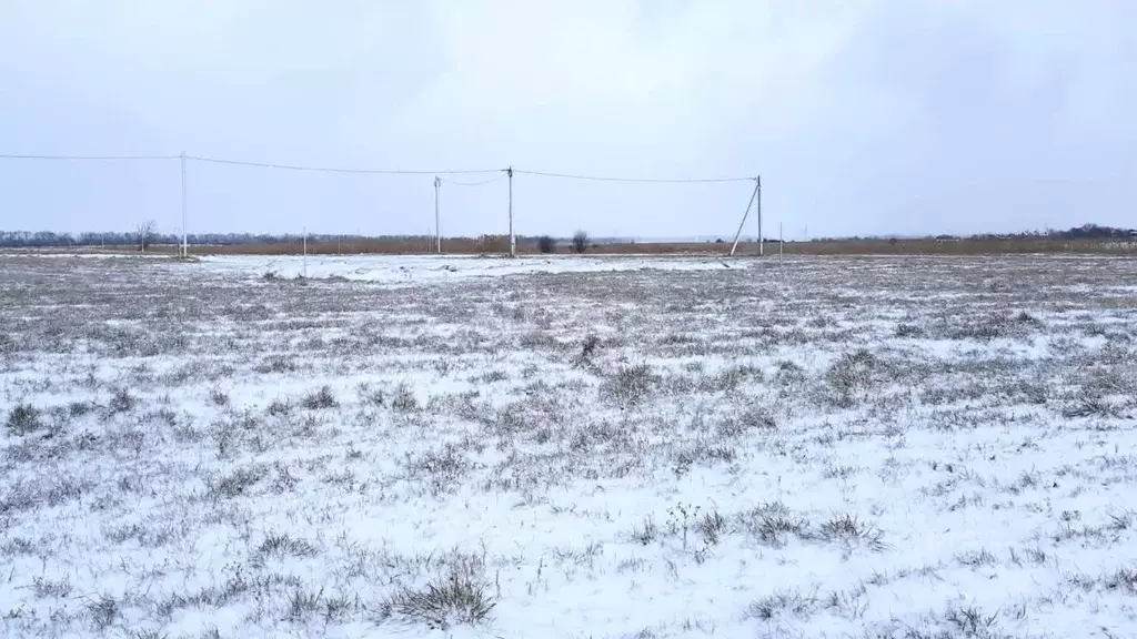 Участок в Краснодарский край, Брюховецкий район, Брюховецкая ст-ца ул. ... - Фото 1