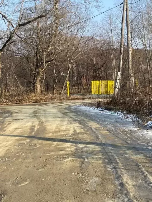 Участок в Сахалинская область, Долинск ул. Вилкова (12.5 сот.) - Фото 1