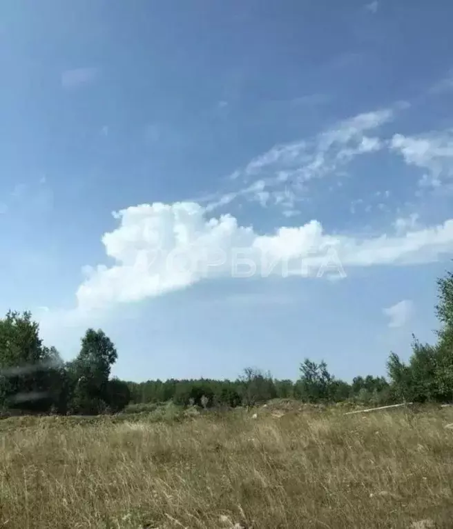 Участок в Тюменская область, Нижнетавдинский район, пос. Кунчур ул. ... - Фото 0