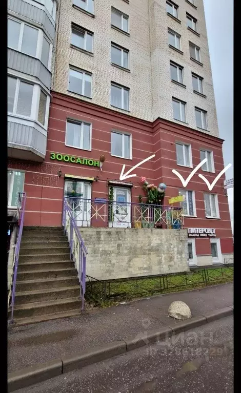 Помещение свободного назначения в Санкт-Петербург Пулковская ул., 2к1 ... - Фото 2