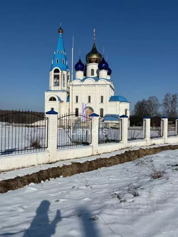 Участок в Тверская область, Зубцовский муниципальный округ, д. ... - Фото 2