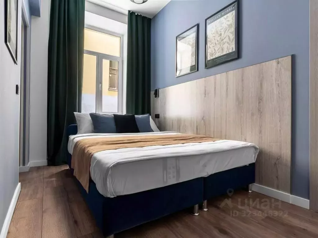 1-к кв. Санкт-Петербург наб. Реки Мойки, 40 (28.0 м) - Фото 1