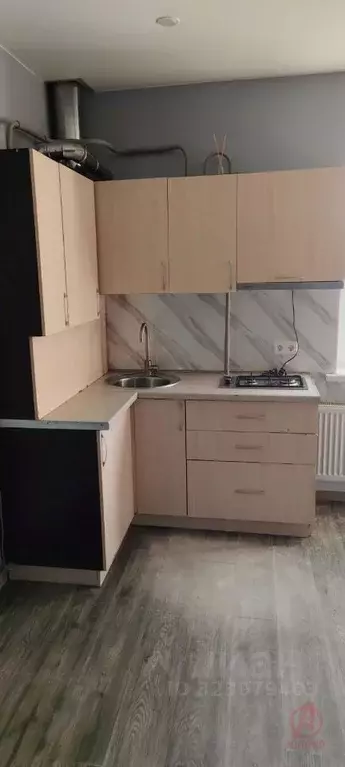 Студия Краснодарский край, Новороссийск Цемдолина тер., ул. Парковая, ... - Фото 1