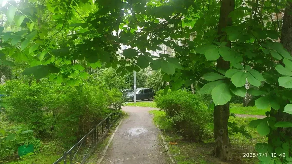 2-к кв. Санкт-Петербург ул. Орбели, 16 (42.2 м) - Фото 2