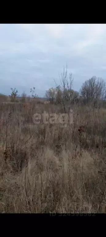 Участок в Саратовская область, Саратов ул. Имени Николая Дрикаловича ... - Фото 2