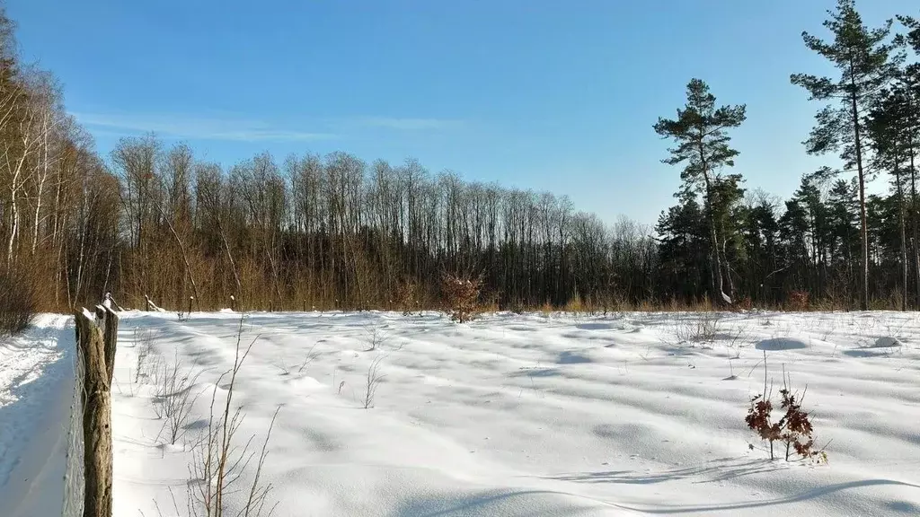 Участок в Свердловская область, Заречный городской округ, д. Гагарка ... - Фото 0