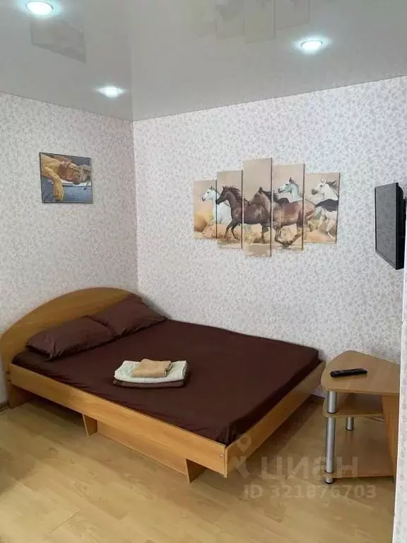1-к кв. Тюменская область, Ишим ул. Суворова, 41 (30.0 м) - Фото 1