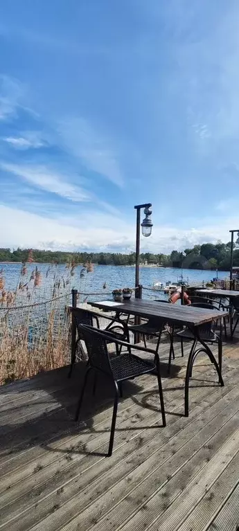 Участок 11 сот. (СНТ, ДНП) - Фото 0