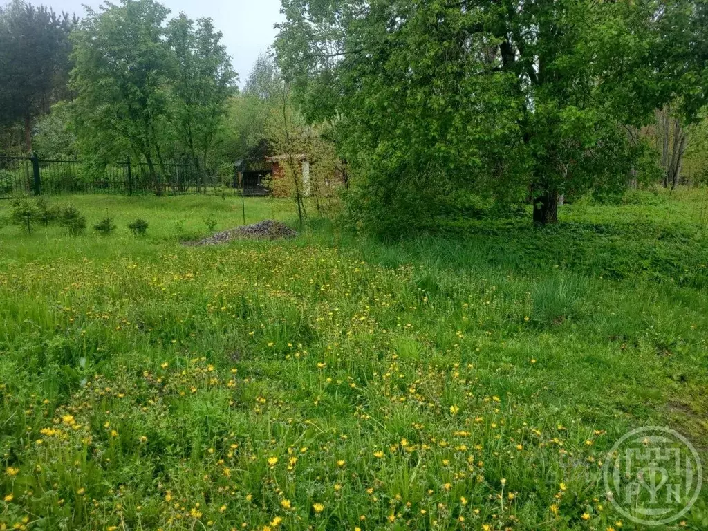 Участок в Ленинградская область, Ломоносовский район, Лебяженское ... - Фото 0
