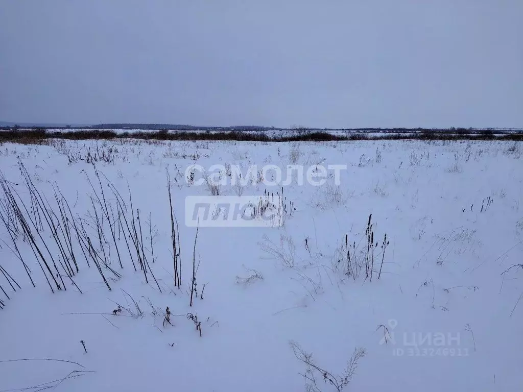 Участок в Тюменская область, Исетский район, д. Турушево Береговая ул. ... - Фото 0