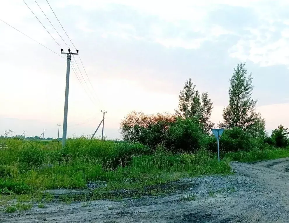 Участок в Тюменская область, Ярковский муниципальный округ, д. Щучья  ... - Фото 2