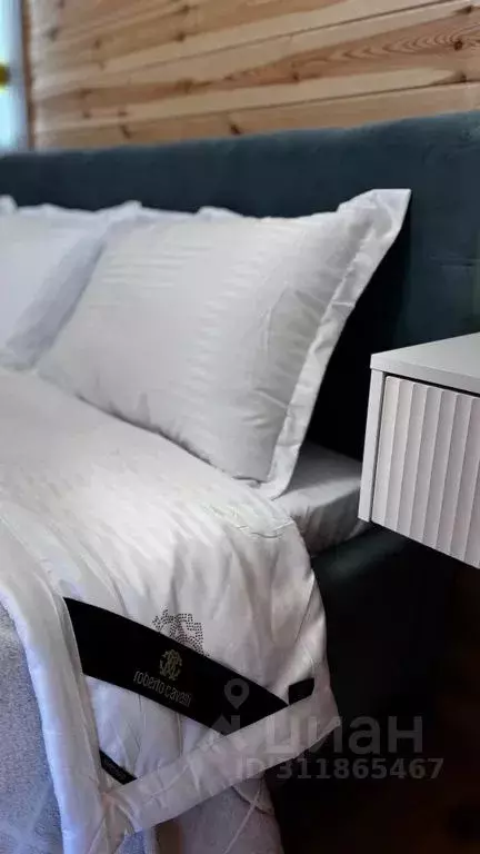 Дом в Челябинская область, Красноармейский муниципальный округ, д. ... - Фото 2