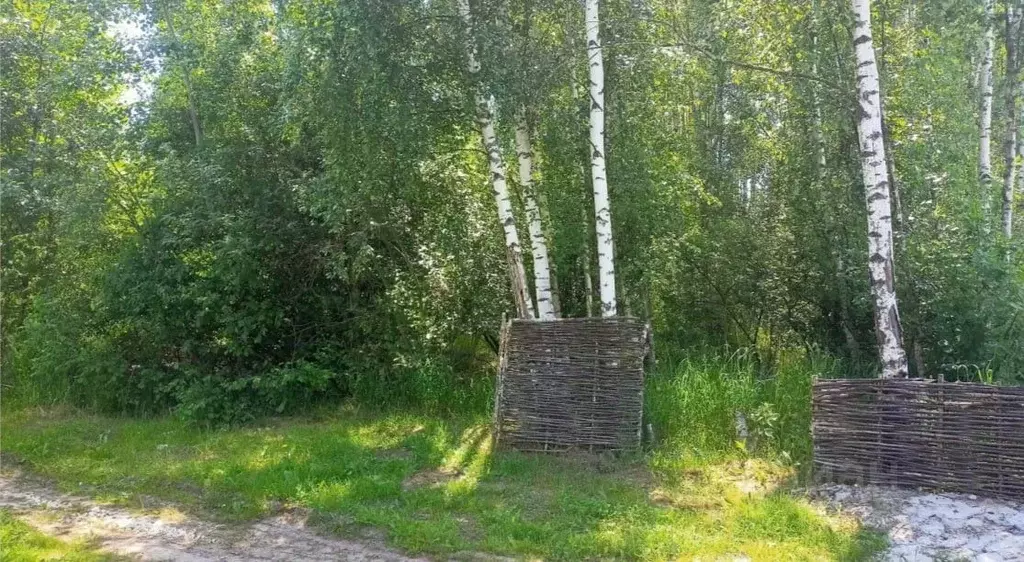 Участок в Московская область, Орехово-Зуевский городской округ, д. ... - Фото 1