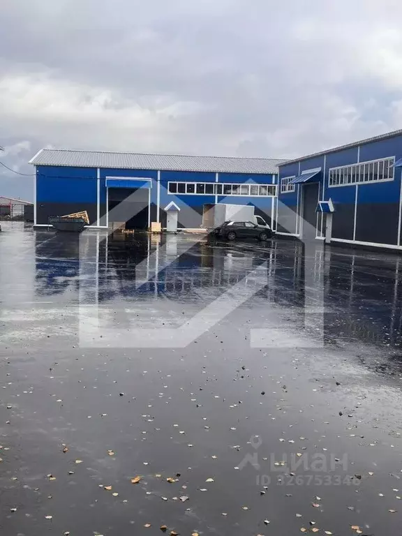 Помещение свободного назначения в Московская область, Домодедово ... - Фото 1