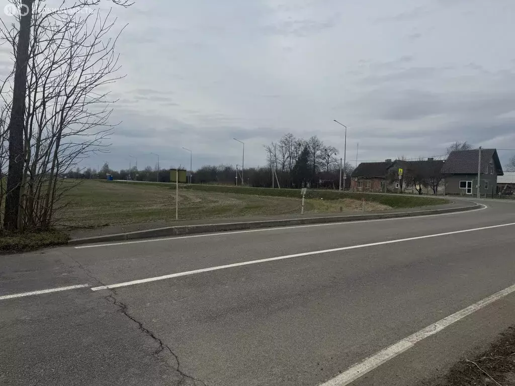 Участок в Калининградская область, Гурьевский муниципальный округ, ... - Фото 1