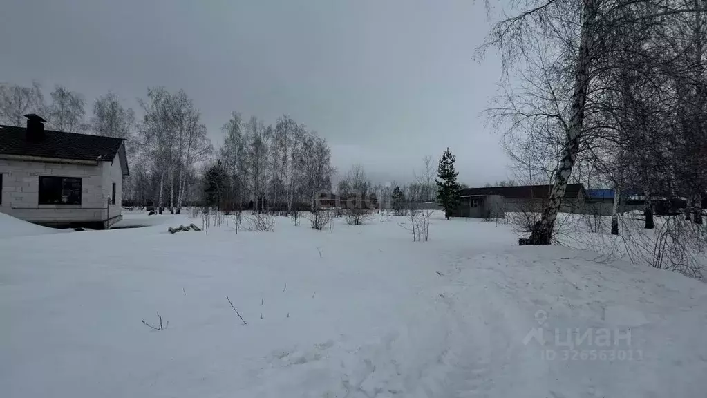 Участок в Воронежская область, с. Новая Усмань ул. Виноградная, 80 ... - Фото 1