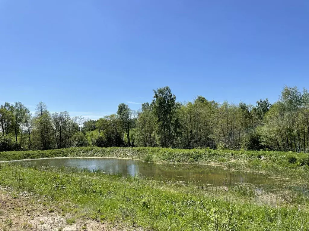 Участок в Тульская область, Заокский район, Демидовское с/пос, с. ... - Фото 1