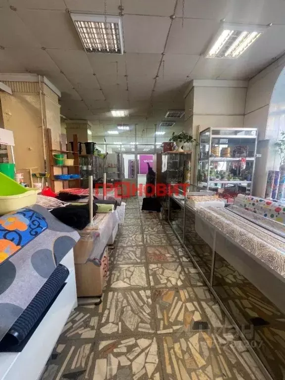 Помещение свободного назначения в Новосибирская область, Новосибирск ... - Фото 2