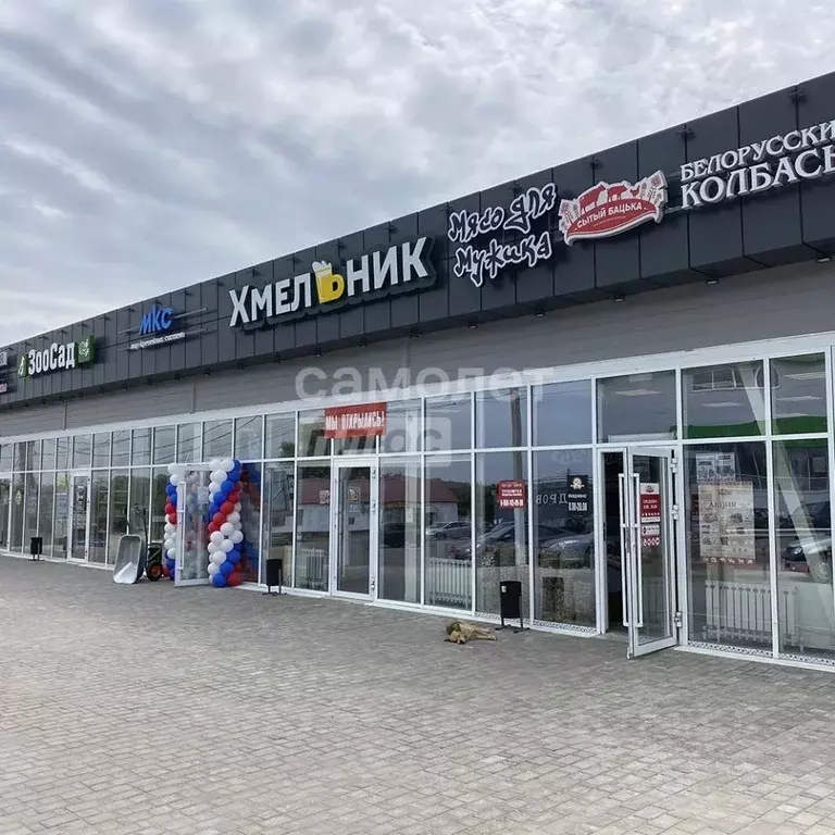 Торговая площадь в Липецкая область, Липецкий муниципальный округ, с. ... - Фото 1