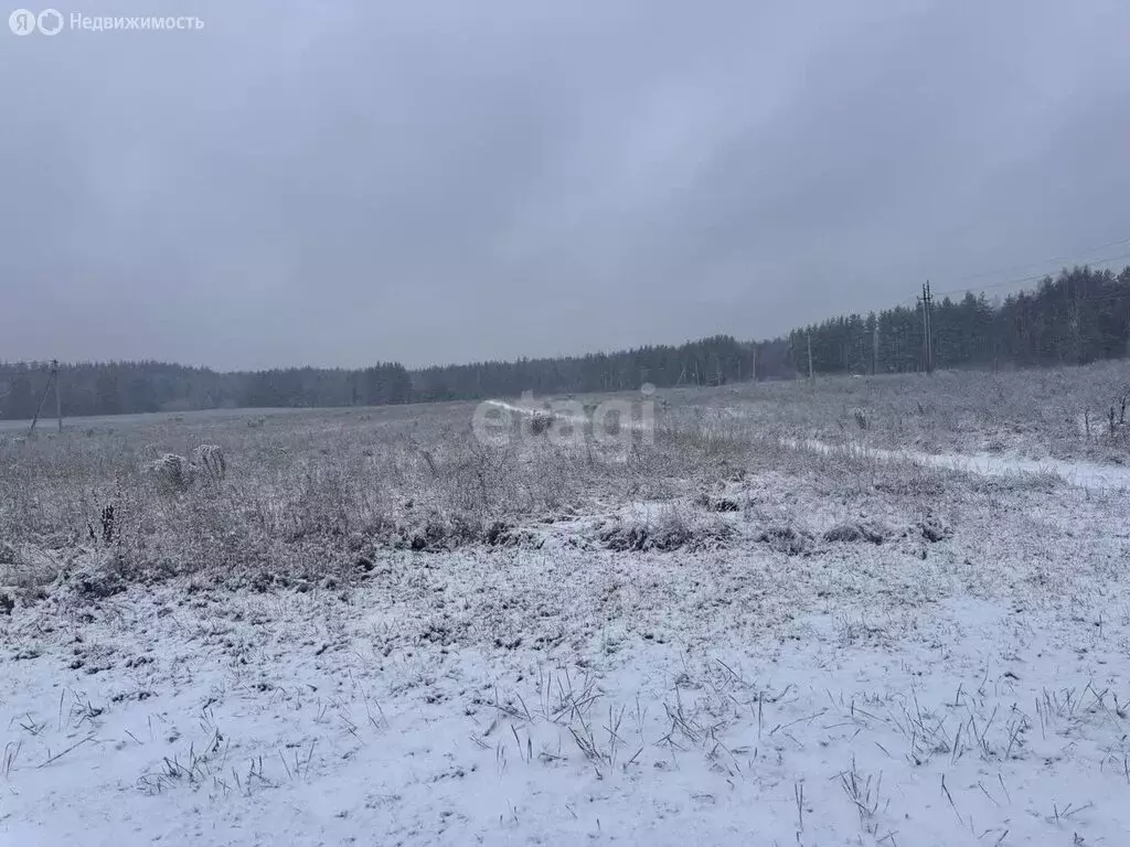 Участок в Нижегородская область, Балахнинский муниципальный округ, ... - Фото 1