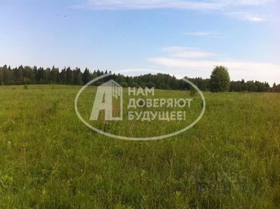 Участок в Пермский край, Лысьва ул. Баженова (7.5 сот.) - Фото 1