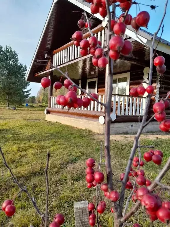 Дом в Тверская область, Ржевский муниципальный округ, д. Рогово ... - Фото 0