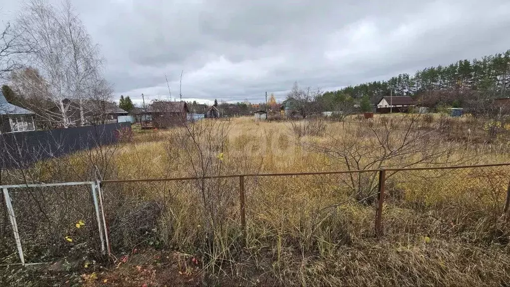 Участок в Воронежская область, Рамонский район, Новоживотинновское ... - Фото 1