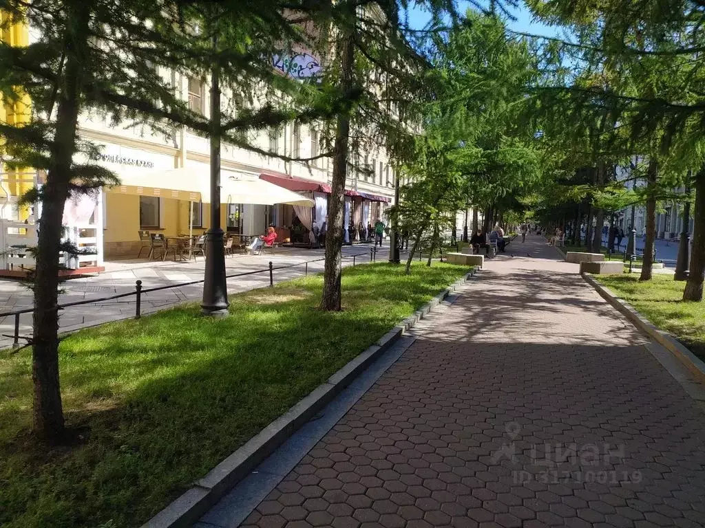 Студия Санкт-Петербург 6-я Васильевского острова линия, 17Б (26.0 м) - Фото 1