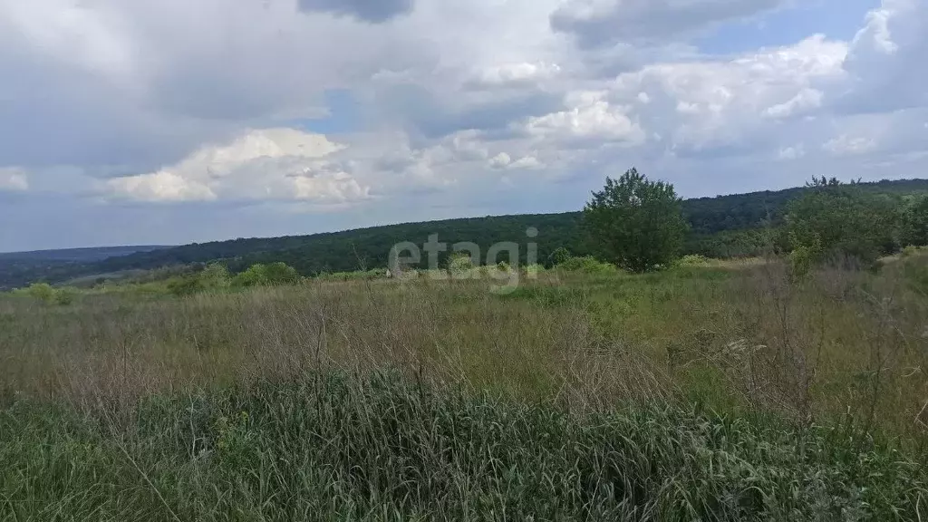 Участок в Белгородская область, Белгородский район, Беломестненское ... - Фото 1