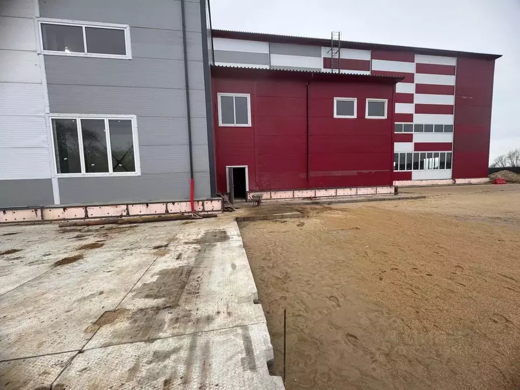 Помещение свободного назначения в Московская область, Домодедово Белые ... - Фото 1