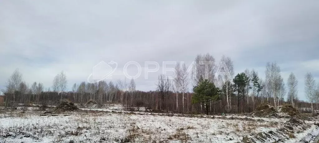 Участок в Тюменская область, Нижнетавдинский район, Полиграфист ... - Фото 1