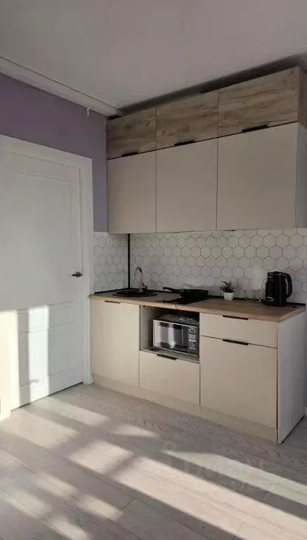 Студия Санкт-Петербург пос. Шушары, просп. Старорусский, 5к2 (20.0 м) - Фото 1