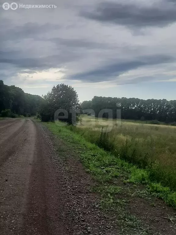 Участок в Алтайский район, село Алтайское (490 м) - Фото 2
