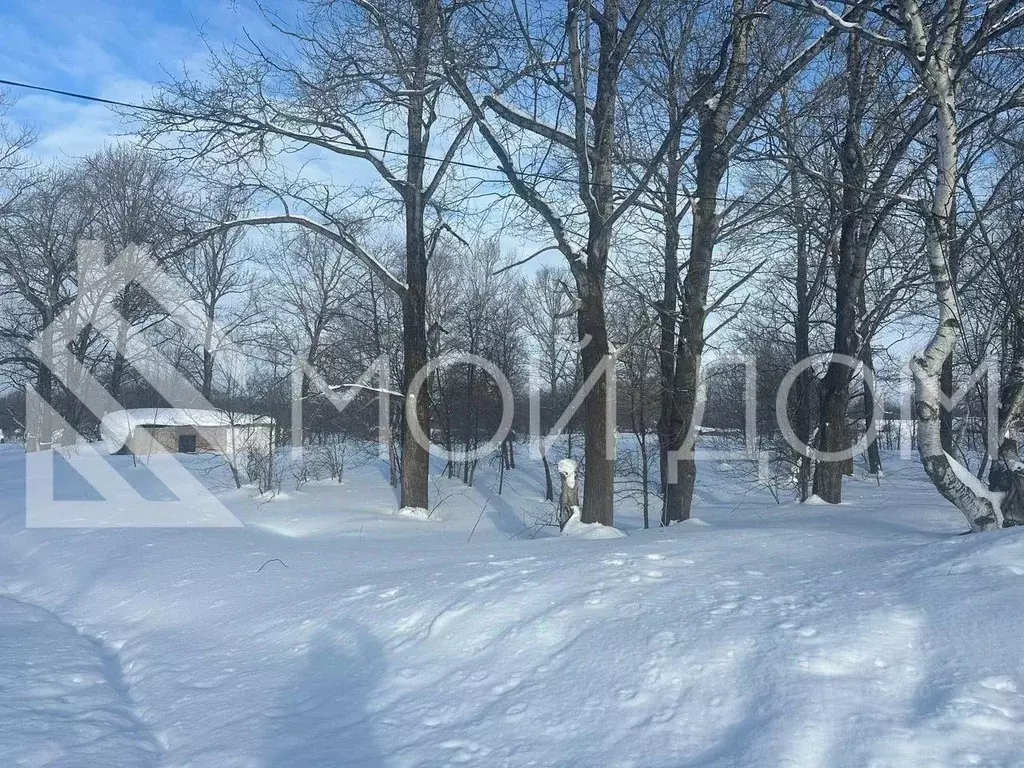 Участок в Сахалинская область, Долинский городской округ, с. Сокол ул. ... - Фото 1