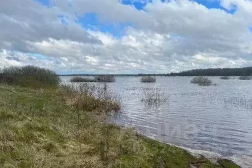 Участок в Новгородская область, Старорусский район, Взвадское с/пос, ... - Фото 1
