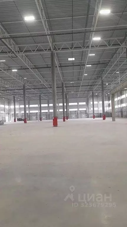 Склад в Московская область, Раменский муниципальный округ, д. Кошерово ... - Фото 1