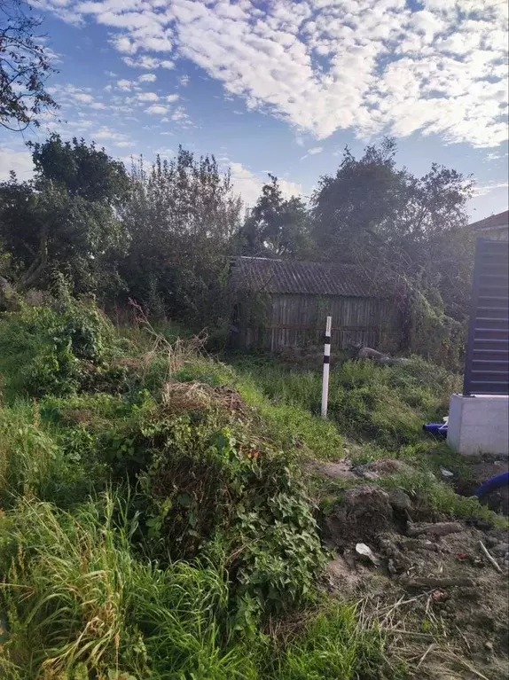 Участок в Калининградская область, Янтарный пгт ул. Обогатительная ... - Фото 2