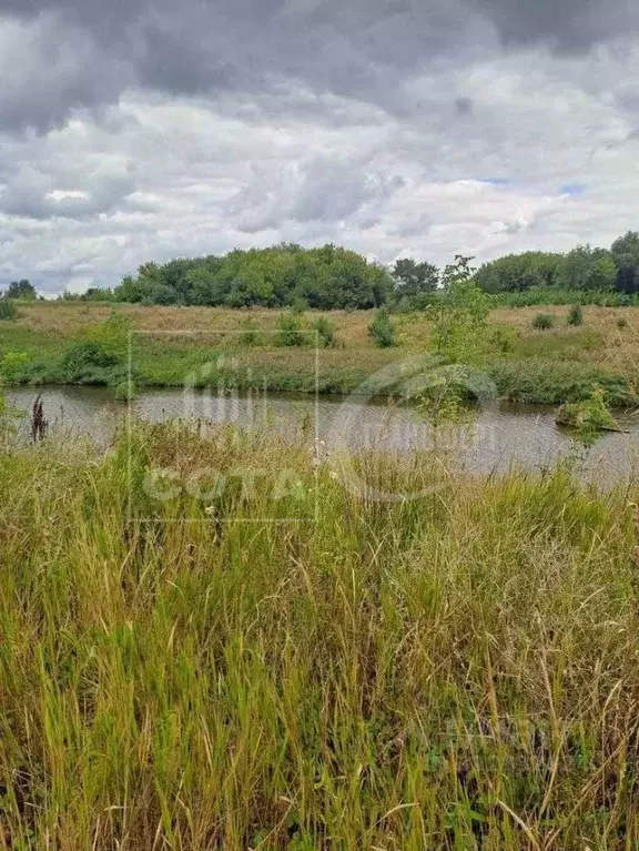 Участок в Воронежская область, Верхнехавский район, Спасское с/пос, ... - Фото 1