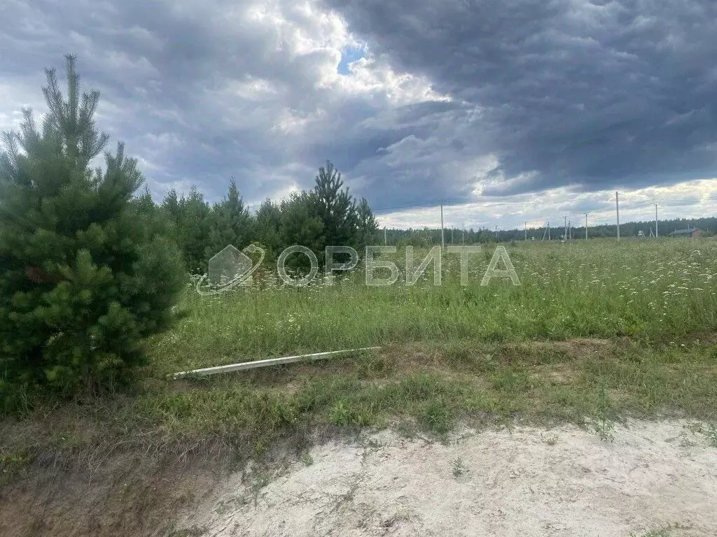 Участок в Тюменская область, Тюменский муниципальный округ, с. Кулига  ... - Фото 2