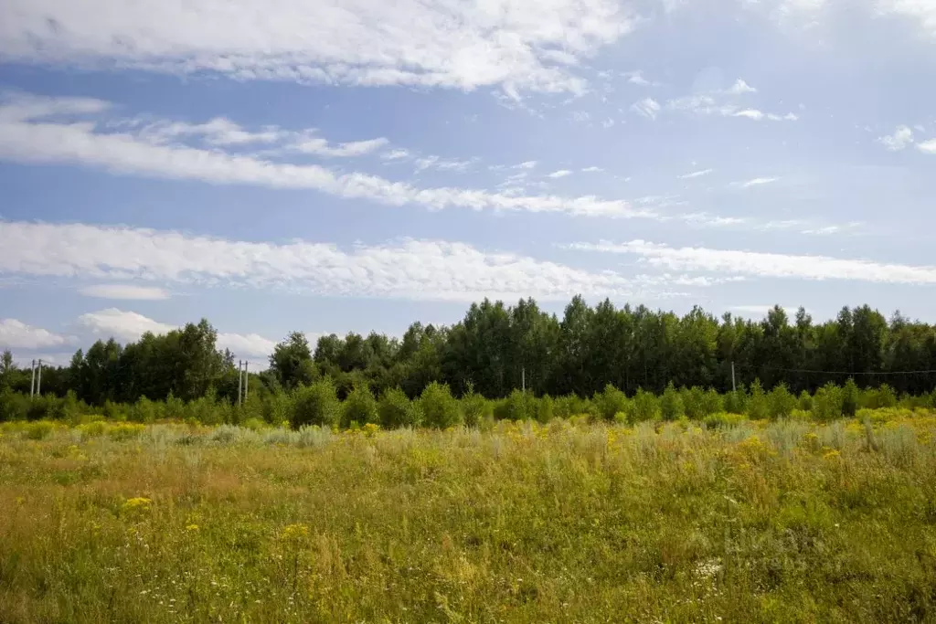 Участок в Нижегородская область, Балахнинский муниципальный округ, д. ... - Фото 2